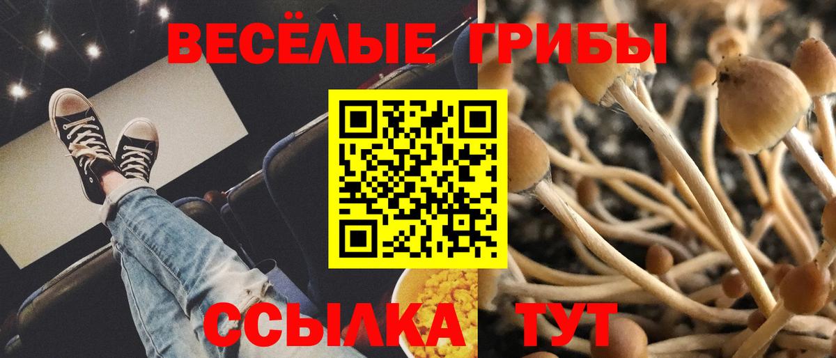 Псилоцибиновые грибы GOLDEN TEACHER  Вход с VPN  Псилоцибиновые грибы Psilocybe  Кулебаки 